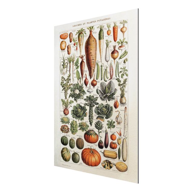 Wanddeko grün Vintage Lehrtafel Gemüse