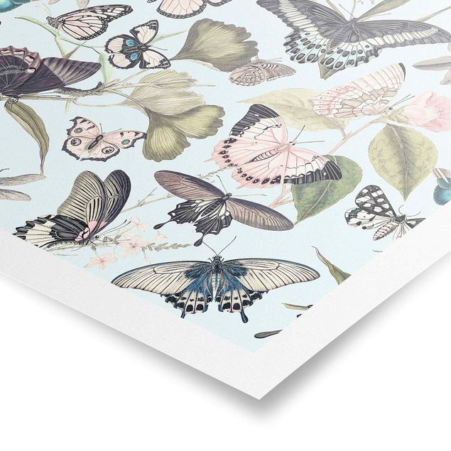Wanddeko Esszimmer Vintage Collage - Schmetterlinge und Libellen