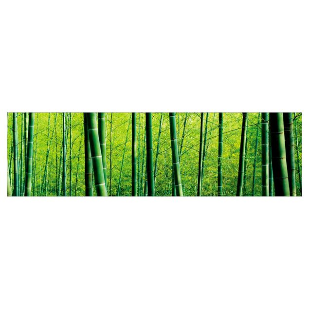 Küchenrückwand Folie selbstklebend Bambuswald