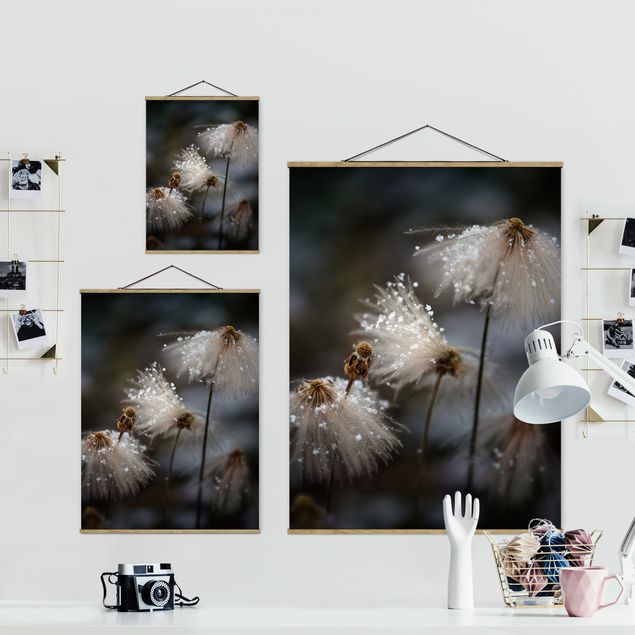Wanddeko Esszimmer Pusteblumen mit Schneeflocken