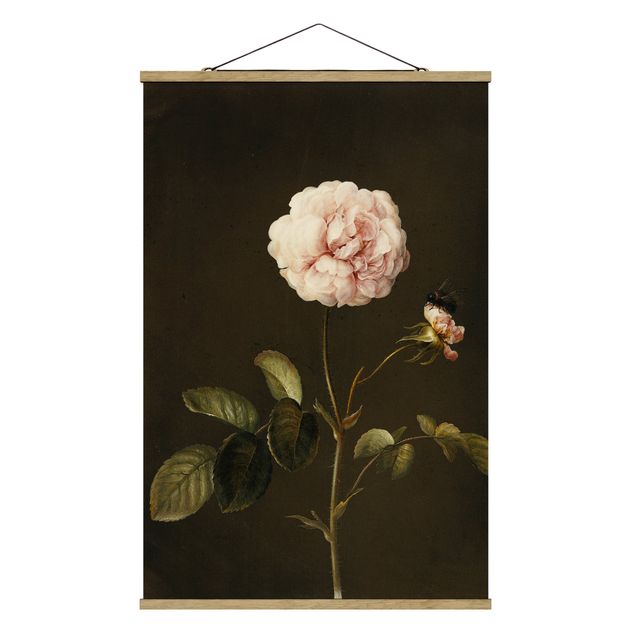 Wanddeko Blume Barbara Regina Dietzsch - Essig-Rose mit Hummel