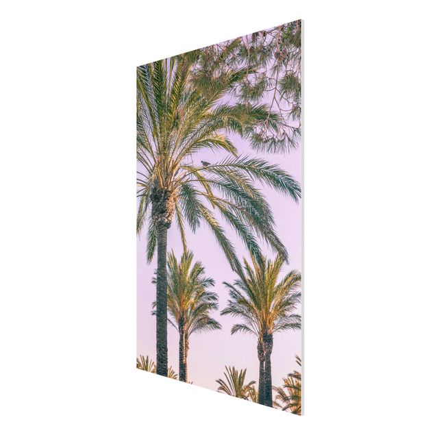 Wanddeko Esszimmer Palmen im Sonnenuntergang