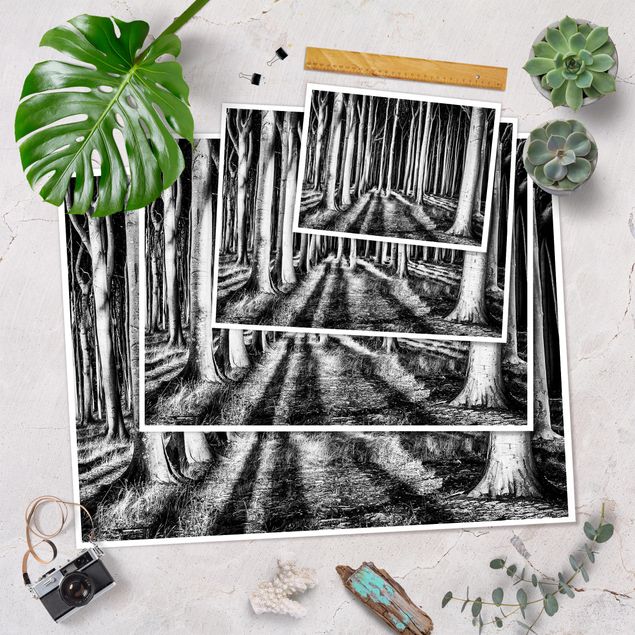 Wanddeko schwarz-weiß Geisterwald