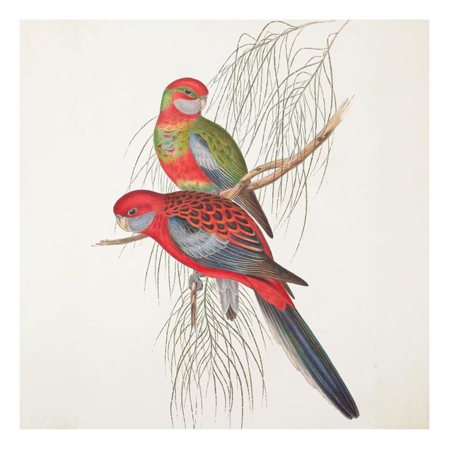 Wanddeko Vintage Tropische Papageien III