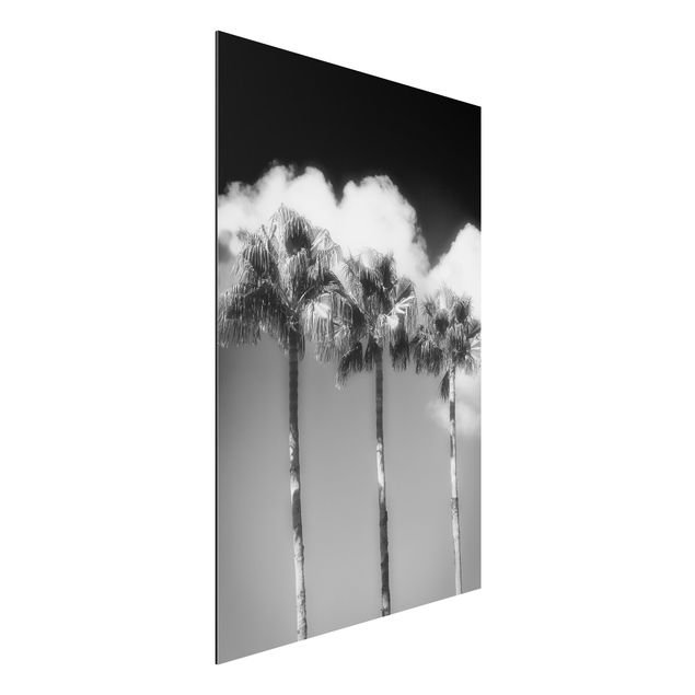 Wanddeko Schlafzimmer Palmen vor Himmel Schwarz-Weiß