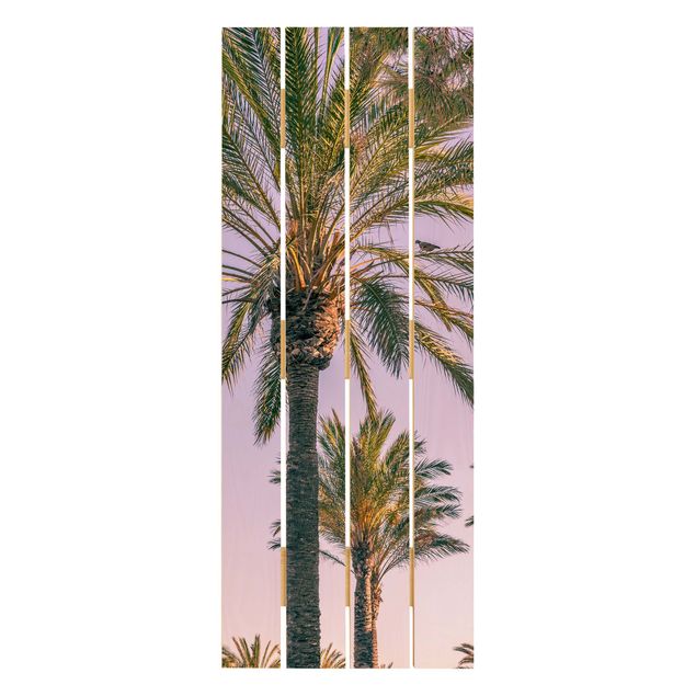Wanddeko grün Palmen im Sonnenuntergang