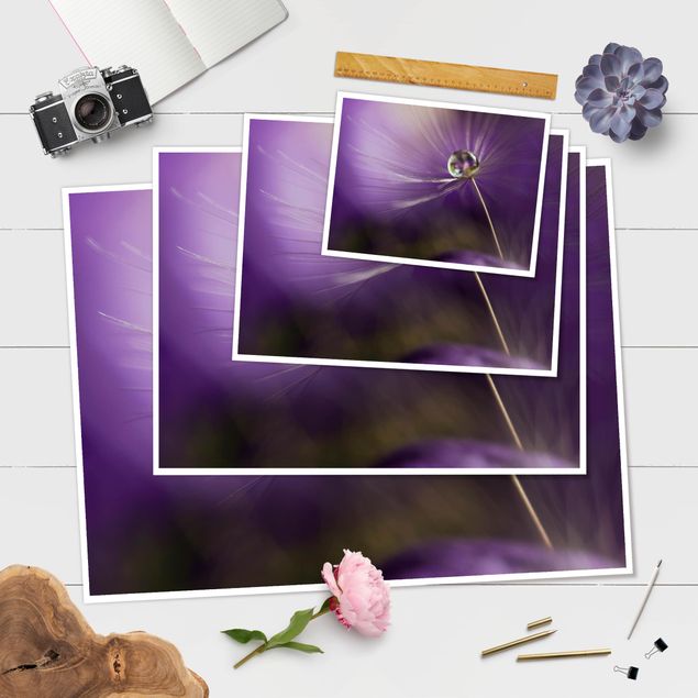 Wanddeko über Sofa Pusteblume in Violett