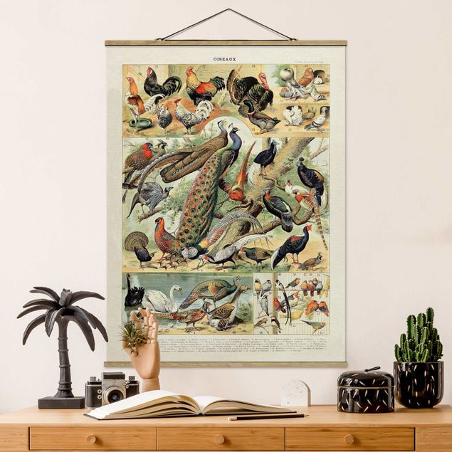 Wanddeko bunt Vintage Lehrtafel Europäische Vögel
