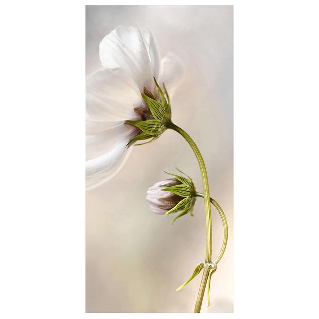 Wohndeko Blume Himmlischer Blütentraum