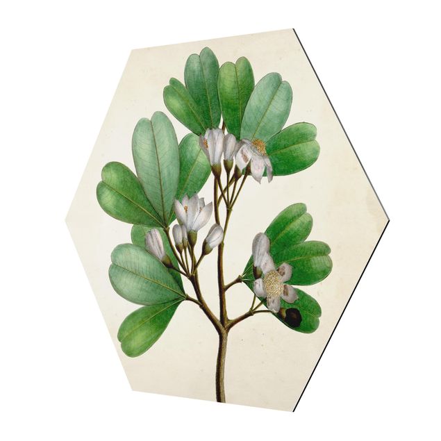 Wanddeko Pflanzen Laubbaum Schautafel III