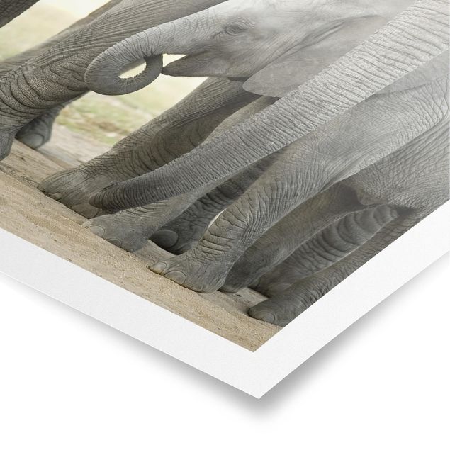 Wanddeko Esszimmer Elefantenliebe