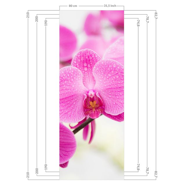 Wanddeko Fotografie Nahaufnahme Orchidee