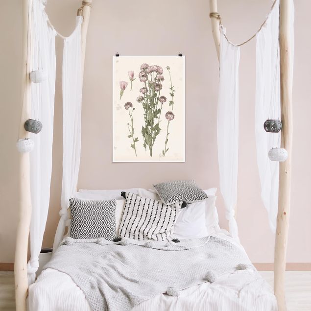 Wanddeko Schlafzimmer Herbarium in rosa I