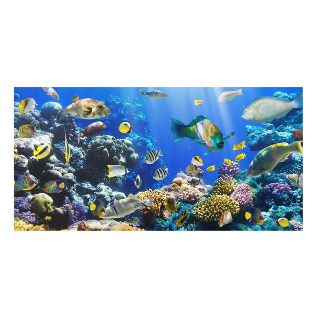 Deko Unterwasser Underwater Reef