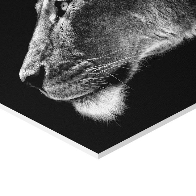 Wanddeko über Bett Portrait einer Löwin