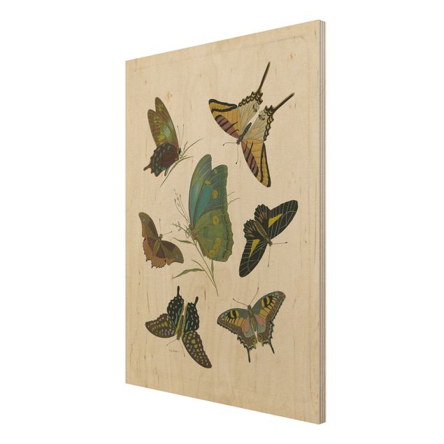 Wanddeko Esszimmer Vintage Illustration Exotische Schmetterlinge