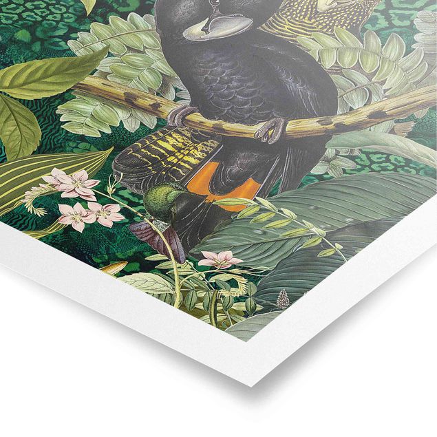 Wanddeko Büro Bunte Collage - Kakadus im Dschungel