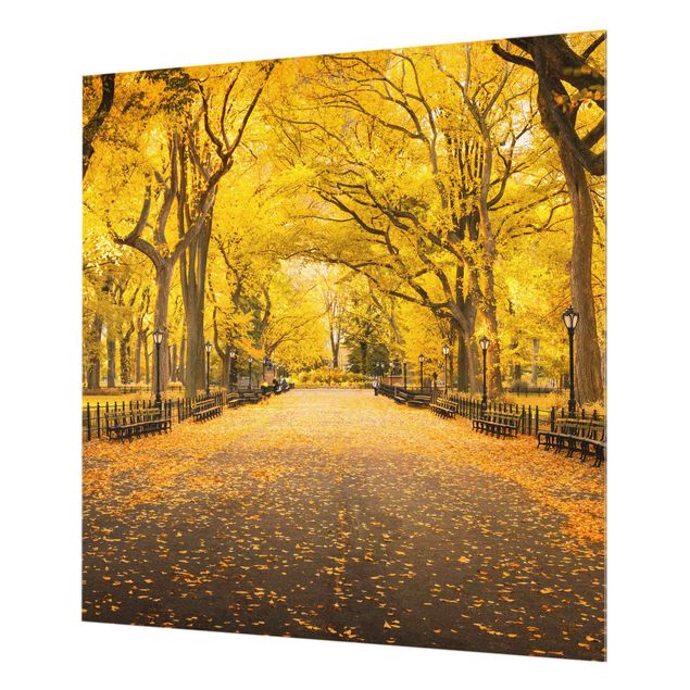 Wohndeko Fotografie Herbst im Central Park