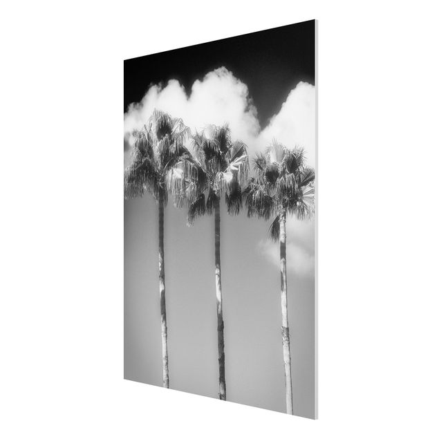Wanddeko Esszimmer Palmen vor Himmel Schwarz-Weiß