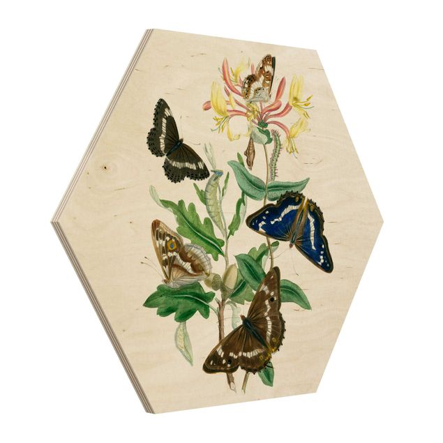Wanddeko Esszimmer Britische Schmetterlinge IV