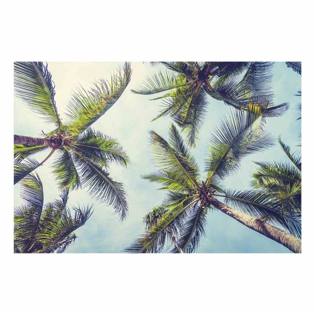 Deko Tropisch Die Palmen