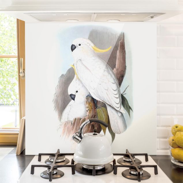 Küche Dekoration Pastell Papageien III