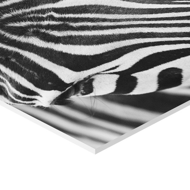 Wanddeko über Bett Zebra Look