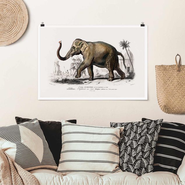 Wanddeko braun Vintage Lehrtafel Elefant