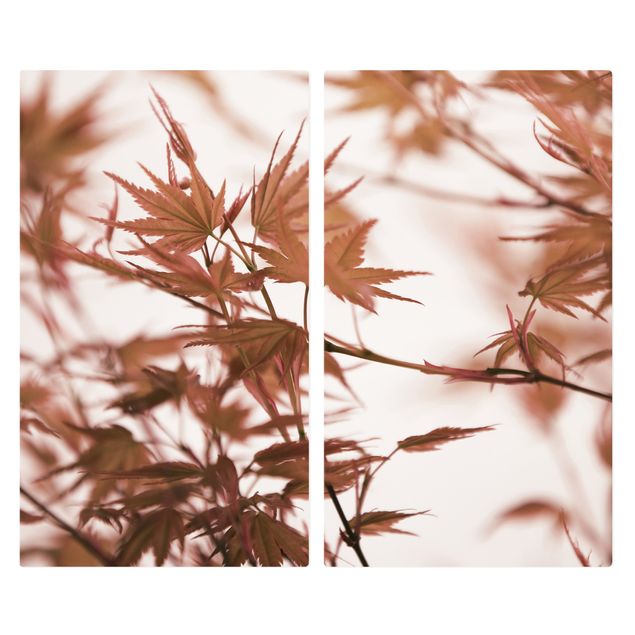 Wohndeko Fotografie Ahornblätter in Herbstsonne