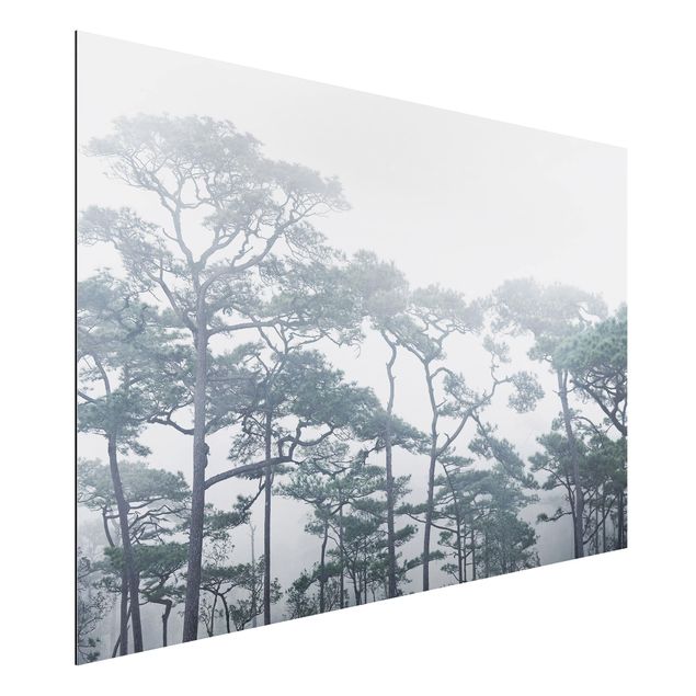 Wanddeko Schlafzimmer Baumkronen im Nebel