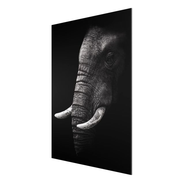 Wanddeko Flur Dunkles Elefanten Portrait