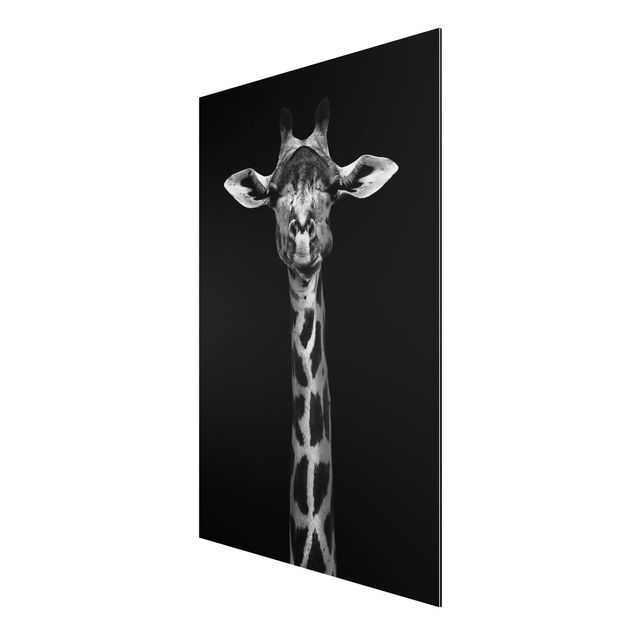 Wanddeko Schlafzimmer Dunkles Giraffen Portrait