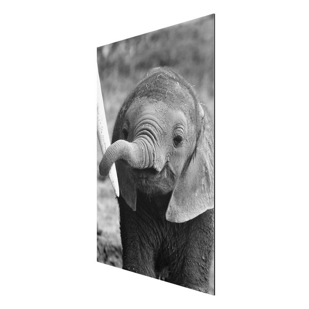 Wanddeko Flur Elefantenbaby