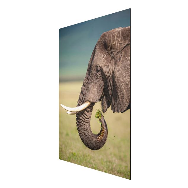 Wanddeko Flur Elefantenfütterung Afrika