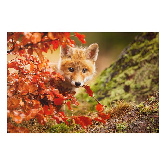 Wanddeko Flur Fuchs im Herbst