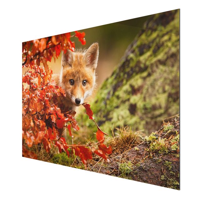Wanddeko Esszimmer Fuchs im Herbst