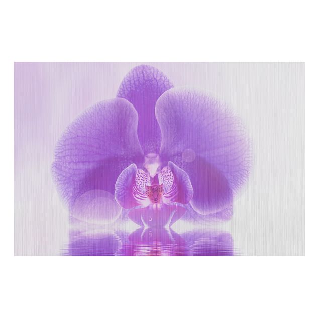 Deko Botanik Lila Orchidee auf Wasser