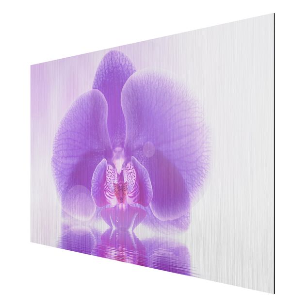 Wanddeko Schlafzimmer Lila Orchidee auf Wasser