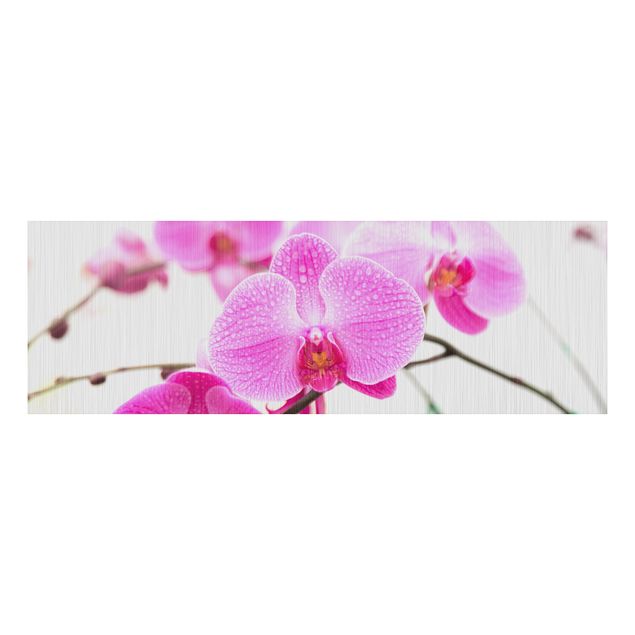 Wanddeko Botanik Nahaufnahme Orchidee
