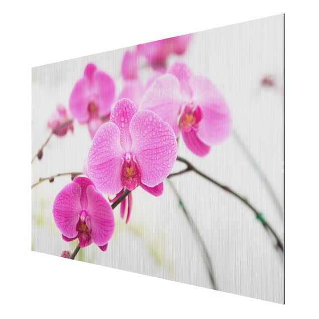 Wanddeko Wohnzimmer Nahaufnahme Orchidee