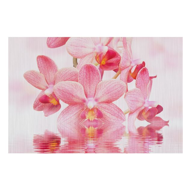 Deko Botanik Rosa Orchideen auf Wasser