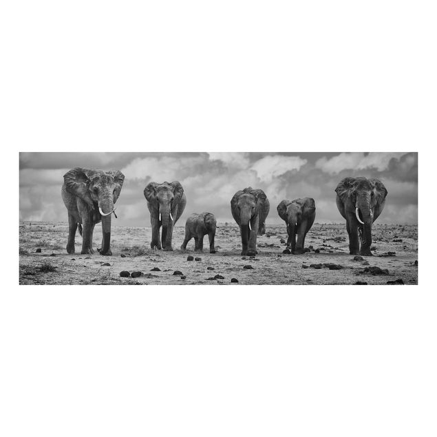 Wandbilder Elefanten Großfamilie