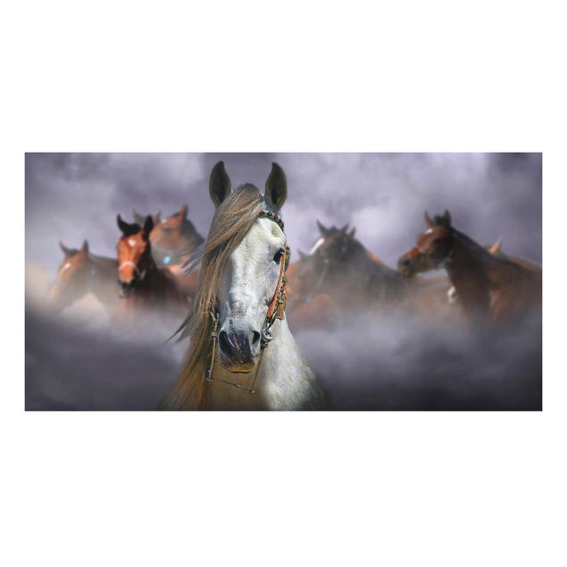 Wanddeko Flur Horses in the Dust