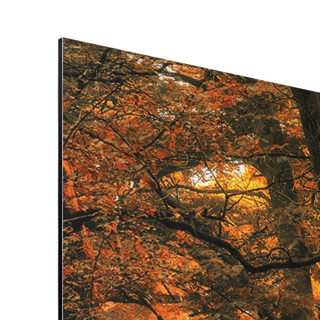 Wanddeko Büro Märchenwald im Herbst