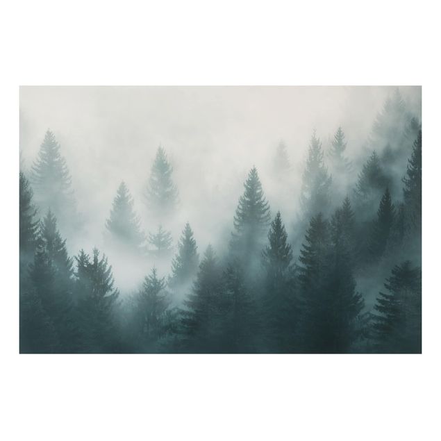 Wanddeko Schlafzimmer Nadelwald im Nebel