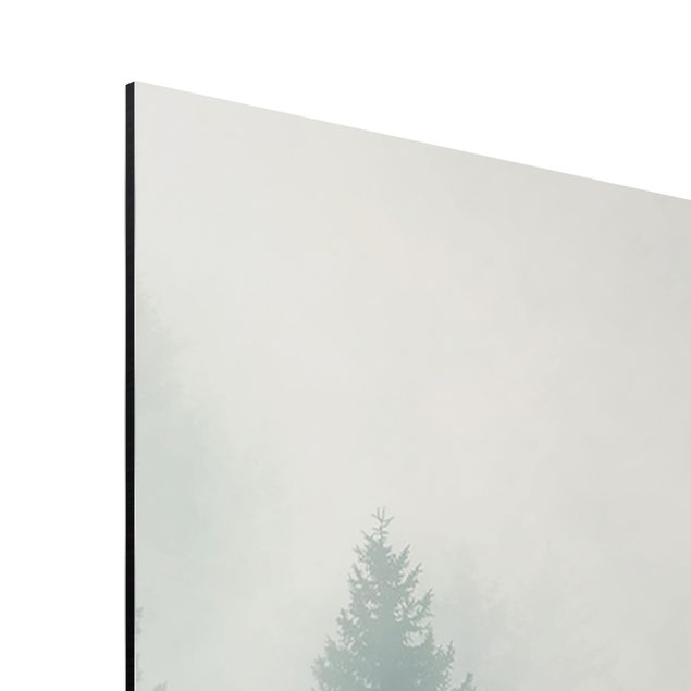Wanddeko Büro Nadelwald im Nebel