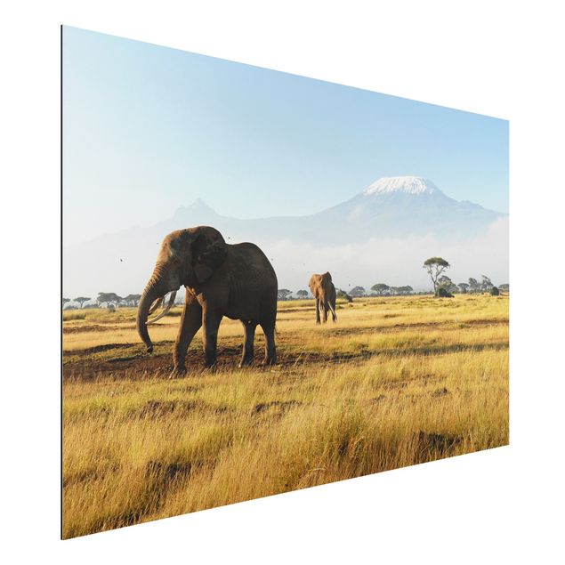 Wanddeko Afrika Elefanten vor dem Kilimanjaro in Kenya