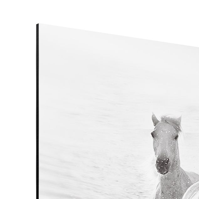 Wanddeko Esszimmer Weiße Pferde im Meer