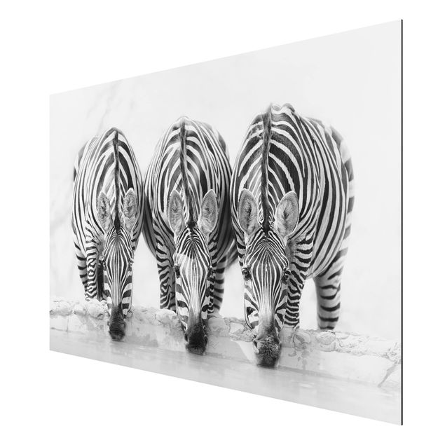 Wanddeko Esszimmer Zebra Trio schwarz-weiß