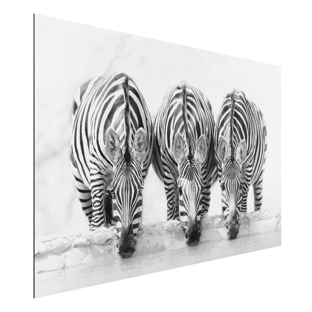 Wanddeko Flur Zebra Trio schwarz-weiß